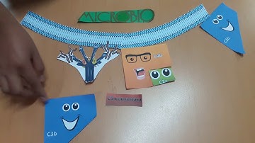 SISTEMA DE COMPLEMENTO