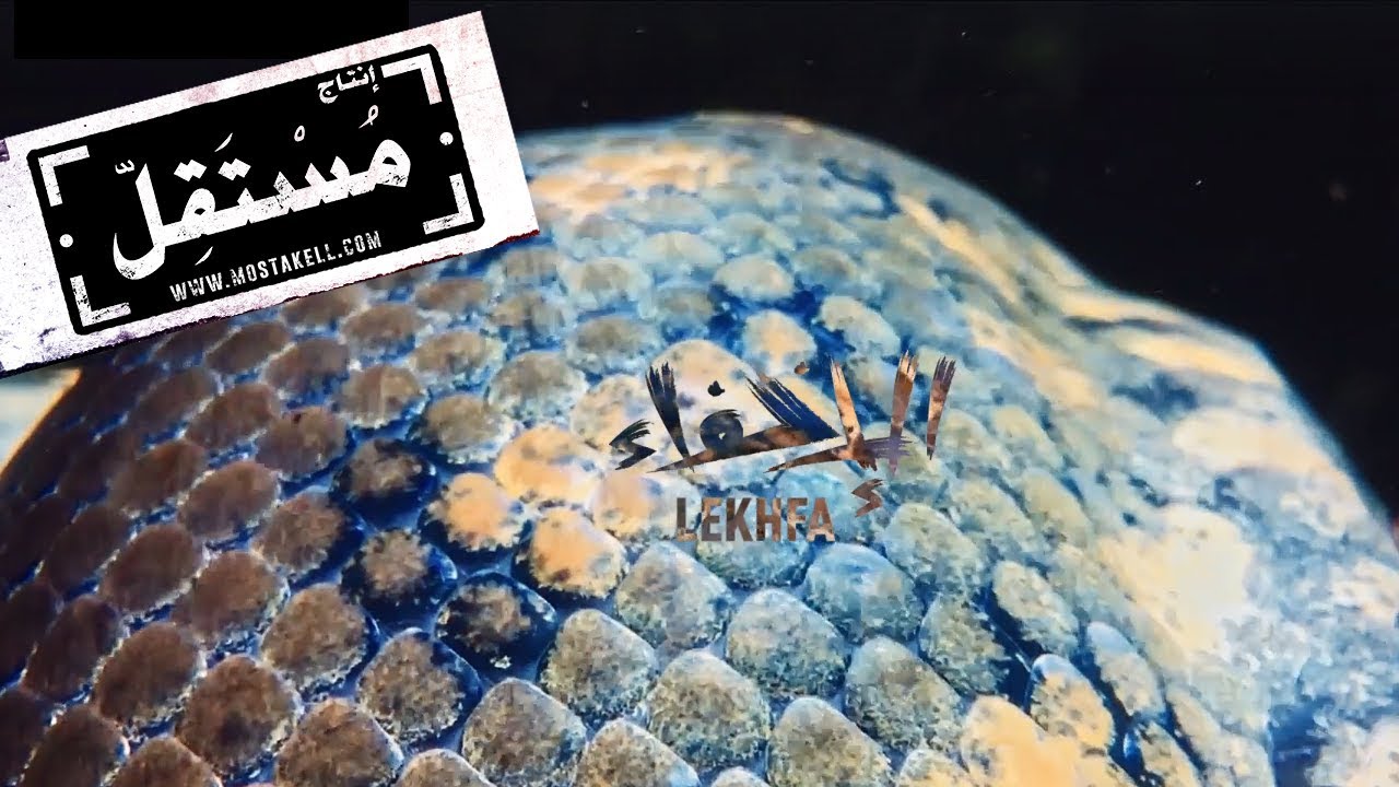Watch Maryam Saleh, Maurice Louca, Tamer Abu Ghazaleh | Mathaf Fonoun El Ghesh #Lekhfa [Music Video] on YouTube