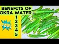 HOW TO PREPARE OKRA WATER/STEW: BENEFITS OF OKRA