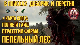 [BDO] 👻 ПЕПЕЛЬНЫЙ ЛЕС / РАЗБОР СПОТА И МЕХАНИК ФАРМА / ДЕБОРИКА И ПЕРСТЕНЬ / КАРТА СПОТА #ashforest