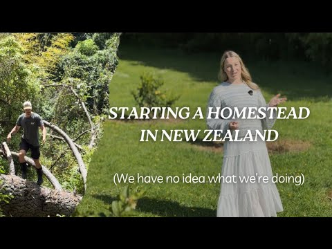 We Left The City In Australia To Start A Homestead In NZ 3 Months In Gardens Tour