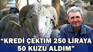 Kredi Çekip 50 Kuzuyla Başladı! \