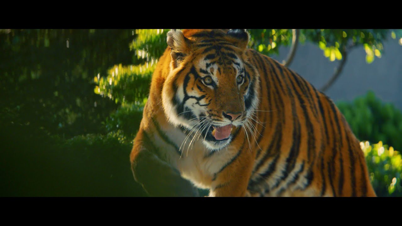 Bİ SEN, Bİ BEN, BİEN!