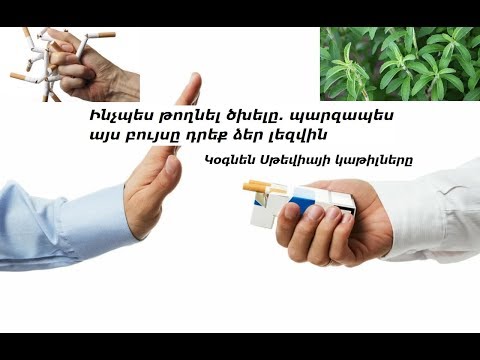 Video: Ինչպես վերցնել մեղվի փոշին. 12 քայլ (նկարներով)