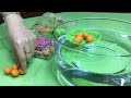 Understanding Density and Buoyancy
