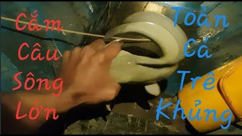 SÔNG NƯỚC MIỀN TÂY || Cắm Câu Địa Điểm Mới Kéo Đã Tay Dính Cá Trê khủng Không