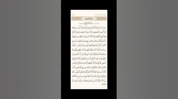 الورد اليومي: 4 صفحات (481-482-483-484) لتجنب هجر القرآن | تذكير يومي مستمر #قرآن #تلاوة