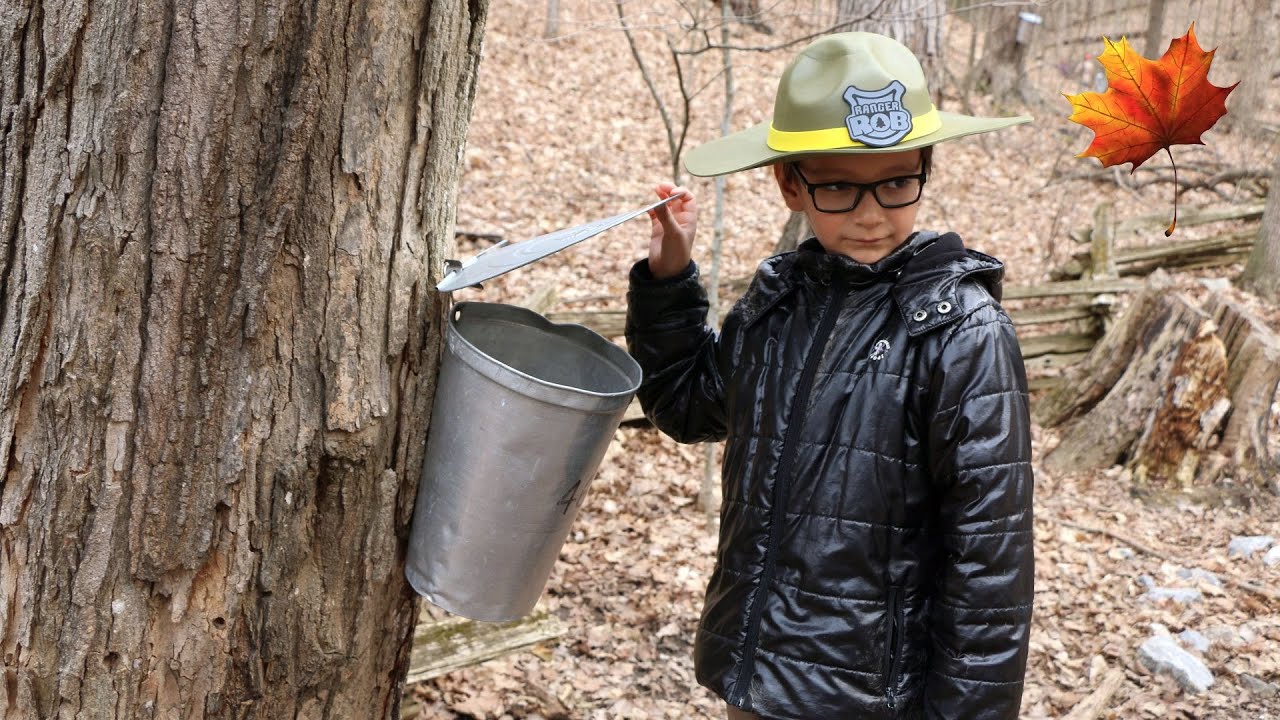 Maple Syrup Season 🍁 at Kortright Centre for Conservation Canadian