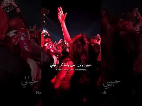 حبيبي يانور العين عمر دياب  اكسبلور 