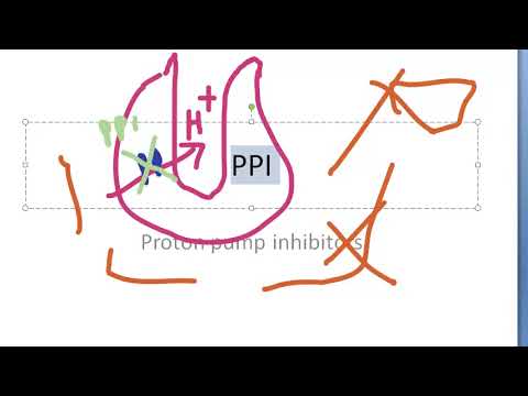 Medicine Proton Pump Inhibitors PPI Pharmacology Omeprazole Pantoprazole Rabeprazole PYQ