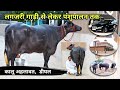 लग्ज़री गाड़ी से लेकर पशुपालन तक, कालू अहलावत, डीघल From luxury car to animal husbandry