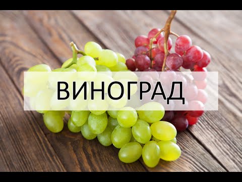 С какого возраста можно давать виноград ребенку, и что учесть?