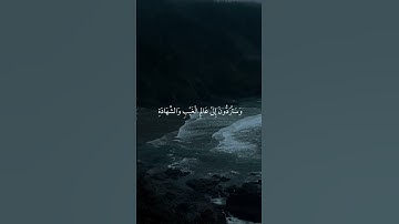 سورة التوبة|١٠٤-١٠٦|القارئ:#ياسر_الدوسري #قران#quran #راحة_نفسية#قران_كريم #تلاوة_هادئة #تلاوة_خاشعة