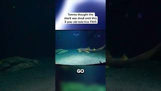Tommy Thought The Shark Was Dead Until This 3 Year Old Told Him This