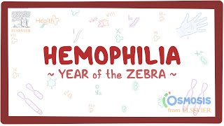 Hemophilia (Year of the Zebra)
