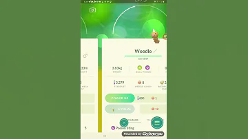 2 Weedles With The Same Moves 