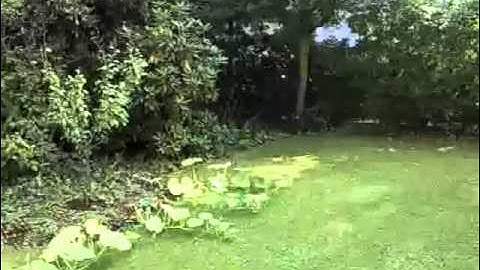 Omnia Pro video test (post-edit)