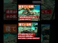 ウミガメの鼻の穴は水中で閉じる？！ #名古屋港水族館 #shorts