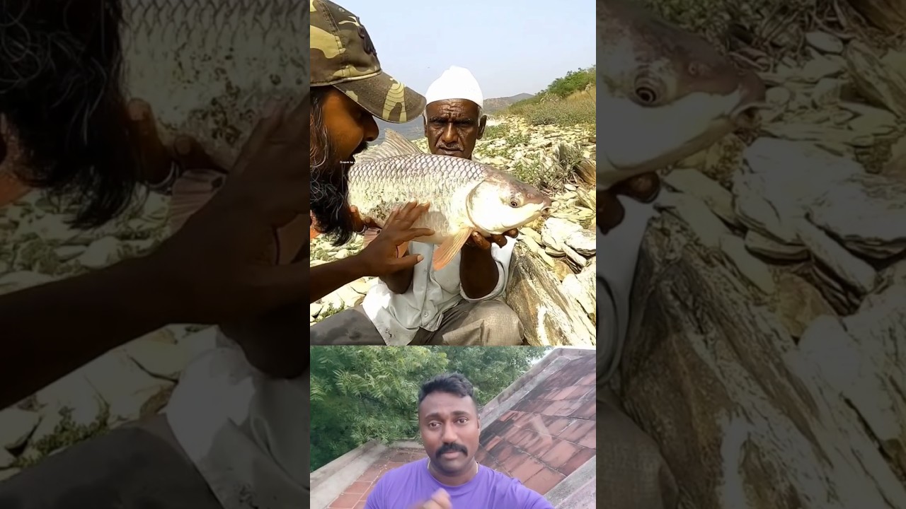 Backwater Fish LOVERS in Bengal Eat the MOST in India? #trending #viralshort #fishingvideo #bangali