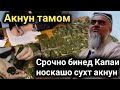 Срочно бинед Капаи Носкашо Сухт Акнун Домулло Абдурахим 05 Сентября 2020