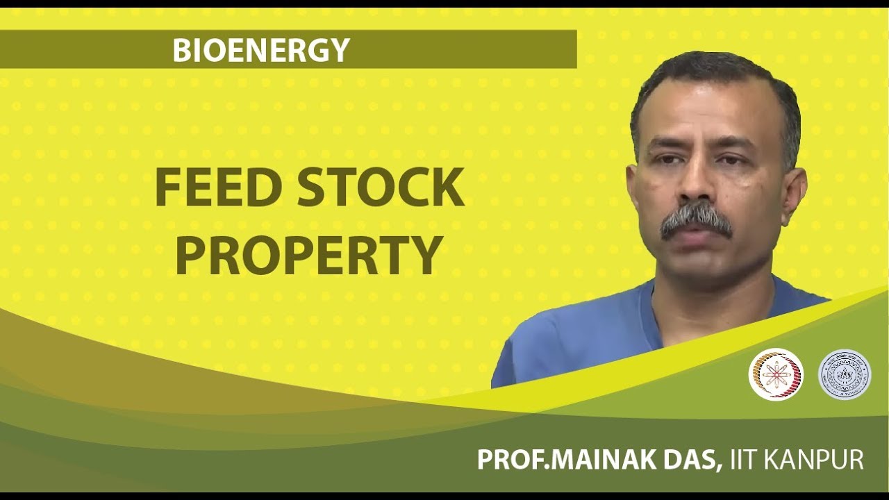 Feed Stock Property YouTube