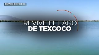 ¡Regresa la vida al Lago de Texcoco que iba a ser un aeropuerto internacional!