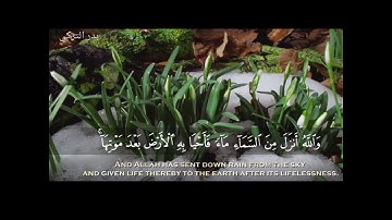تلاوة من سورة النحل | بدر التركي |