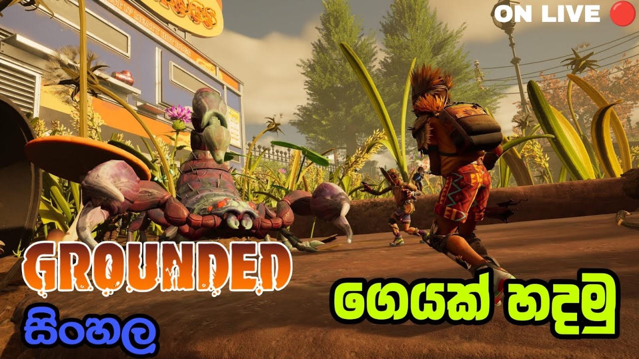 GROUNDED 01  || ON LIVE 🔴 || ගෙයක් හදමු...