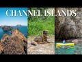 Channel islands national park 101 essential tips for firsttime visitors