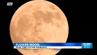 Get ready for the Flower Moon: Peak early Thursday morning