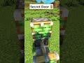 Minecraft Secret Door🚪 #shorts