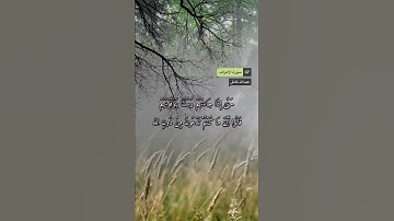 سورة الأعراف الآية 37