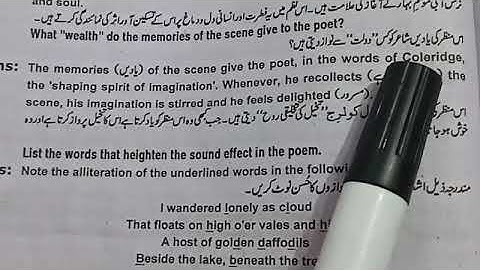 Class 9th | Subject English | Unit# 5 - Daffodils - Questions & Answers | Native Schools