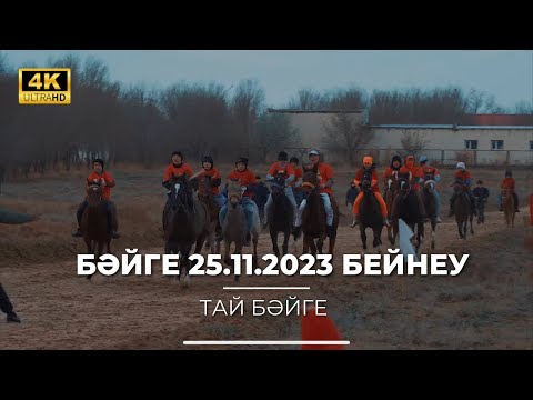 Видео: Бәйге 25.11.2023 Бейнеу