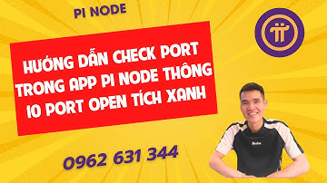 PiNode-Hướng dẫn check Port trong app Pi Node thông 10 port open tích xanh-ducanhpinode