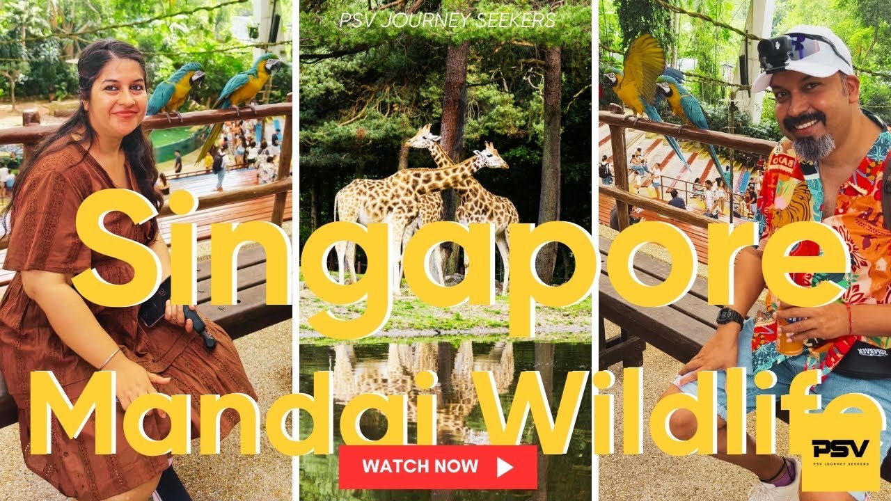 🌿 Exploring Mandai Wildlife Reserve, Singapore | Adventure in Nature! 🐘🦁 With PSV Journey Seekers