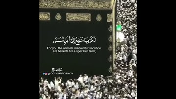 { حنفاء لله غير مشركين به } القارئ فيصل الرشود