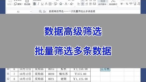 WPS Excel：数据高级筛选，批量筛选多条数据。#wps #excel