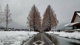2022 feb 7 Winter in Japan at the Metasecoiya