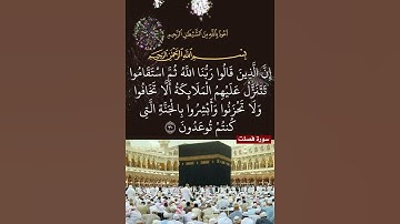 سورة فصلت الآية ( 30 )