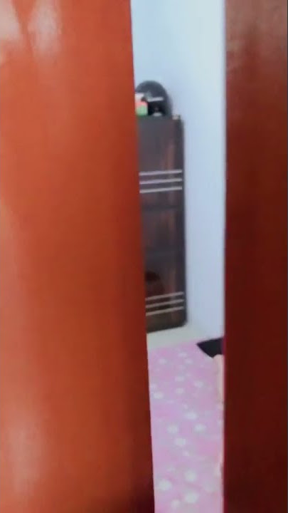 Story WA Mentahan Halu dikamar kost Sama Cewek cantik. Buat Prank Temen.