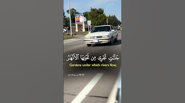 سورة ال عمران#سورة_آل_عمران #حديث #اسلام #quran #قرآن #قران_كريم #محاظرات #دعاء #دروس #دعاء_مستجاب
