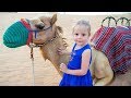 Влог: путешествие по пустыне, Сафари в Дубаи  / Safari in desert Dubai