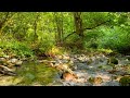 Calm Mountain River. Nature sounds For Deep Sleep, Meditation and Study.