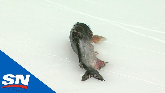 Nashville Predators: PredLines Interviews Catfish Chuckers! (Video)