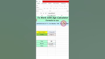 How to Create an Age Calculator in Excel in Seconds! 🚀📅
