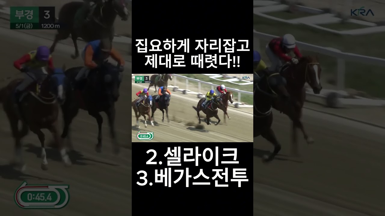 집요하게 자리잡고 때렸다~  #경마  #경마예상  #경마방송  #경마예상방송  #서울경마  #금요경마  #토요경마  #일요경마 #경마장