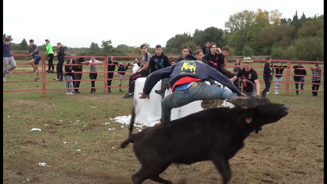 Course au plan - manade La falaque - 29.10.2023.