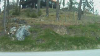 Longboarding: LET GO