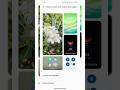 Lock Screen Wallpaper Auto Change off | How to Stop Automatic Wallpaper Change in vivo phone #sorts